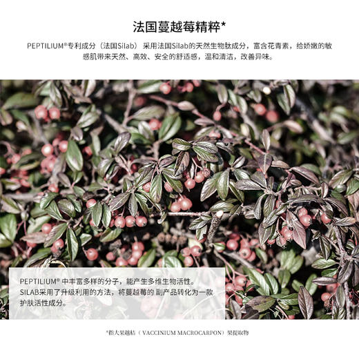 【Malory蔓越莓私处护理液】私处护理澳洲妇科专家联合研发，30年私护经验  0301返团 商品图3