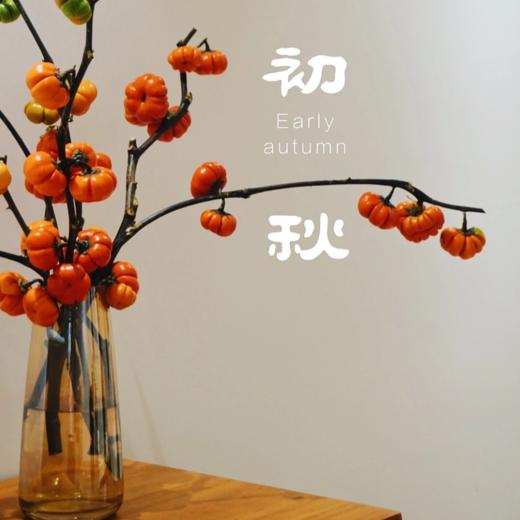 小南瓜丨3-5支丨【运输易掉果，不售后介意勿拍】 商品图3