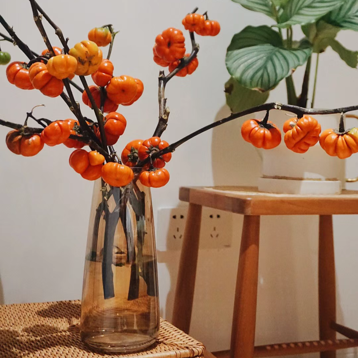 小南瓜丨3-5支丨【运输易掉果，不售后介意勿拍】