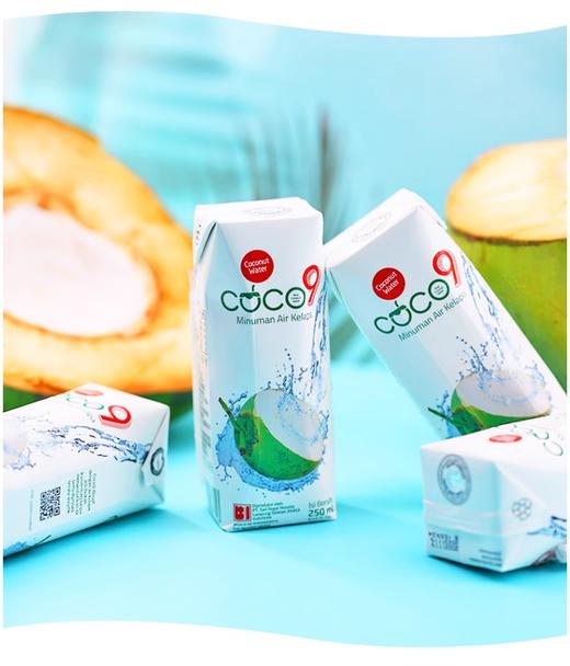 【11.1买三送三】COCO 印尼进口椰子水 商品图2