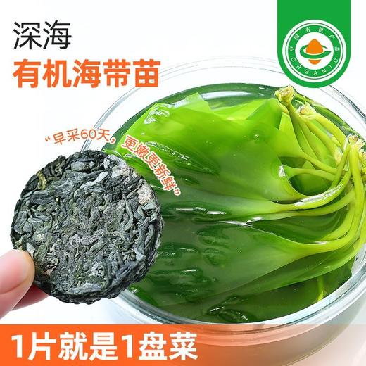 食尚 有机海带苗 12g/袋 商品图7