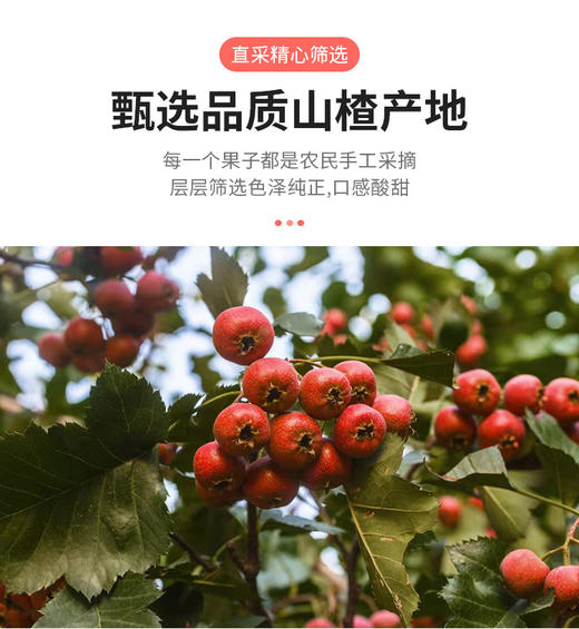 热全网的冻干冰糖葫芦，东方甄选同款冻干冰糖葫芦 酸甜爽口，营养便携，一口嘎嘣脆，提神又开胃 商品图4