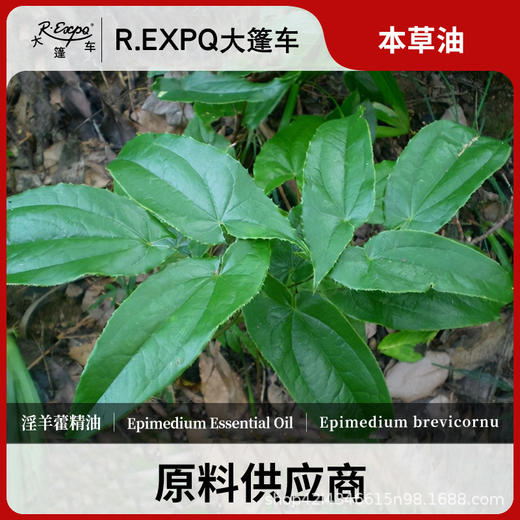 淫羊藿精油原料批发芳疗护理调香按摩本草精油Epimedium 商品图0