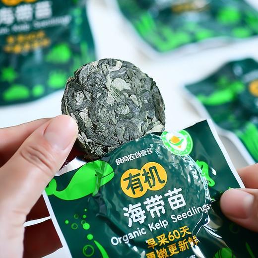 食尚 有机海带苗 12g/袋 商品图1
