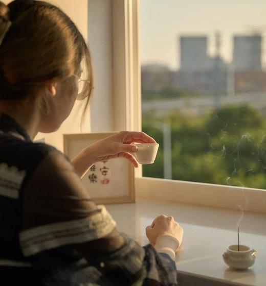 【天然香薰线香套装】特价抢11种香型（到手约440根香）沉香线香檀香熏香 居家日用室内天然艾草驱蚊盘香藏香佛香香薰 商品图7