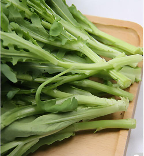 有机大叶茼蒿500g 商品图0