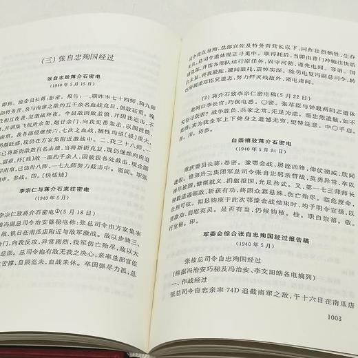 抗日战争正面战场  中国第二历史档案馆 商品图5