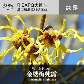 金缕梅纯露 面部按摩纯露 美容院适用花水纯露