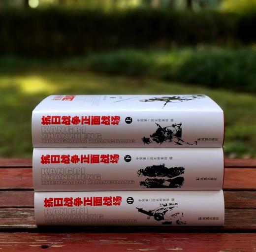 抗日战争正面战场  中国第二历史档案馆 商品图2