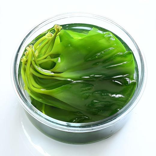 食尚 有机海带苗 12g/袋 商品图5