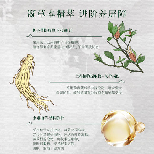 **【活动专享】国韵藿然柔润面膜五折享，凉茶面膜 修愈褪红，买即赠同款体验装*3片 商品图4