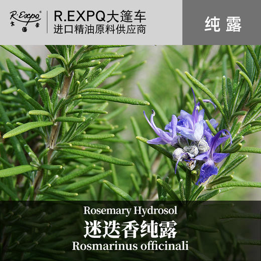 迷迭香纯露 印度原料批发 面部按摩纯露 美容院适用花水纯露 商品图0