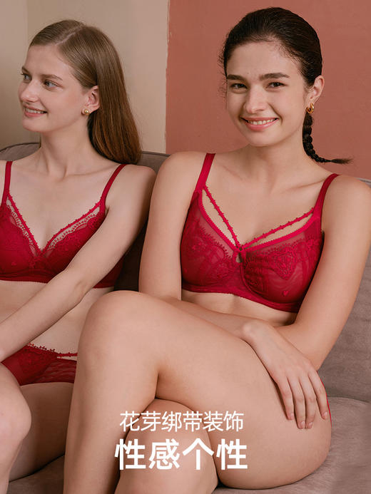 HSIA遐大胸显小文胸大容量【小欢喜】刺绣全罩杯本命年红色内衣女 商品图3