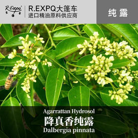 降真香纯露 原料批发面部SPA按摩纯露花液 花水纯露爽肤水