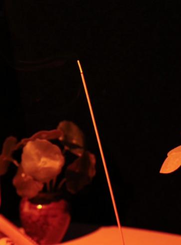 【天然香薰线香套装】特价抢11种香型（到手约440根香）沉香线香檀香熏香 居家日用室内天然艾草驱蚊盘香藏香佛香香薰 商品图5