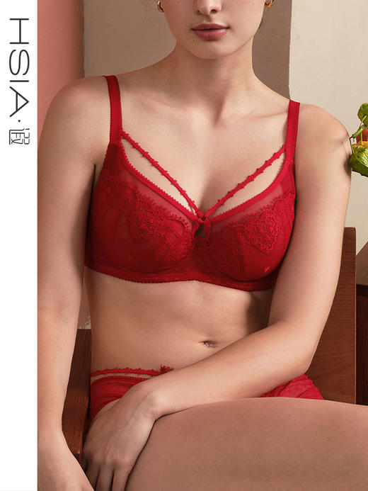 HSIA遐大胸显小文胸大容量【小欢喜】刺绣全罩杯本命年红色内衣女 商品图0