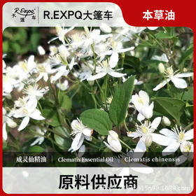 威灵仙精油原料批发芳疗护理调香推拿按摩本草精油Clematis