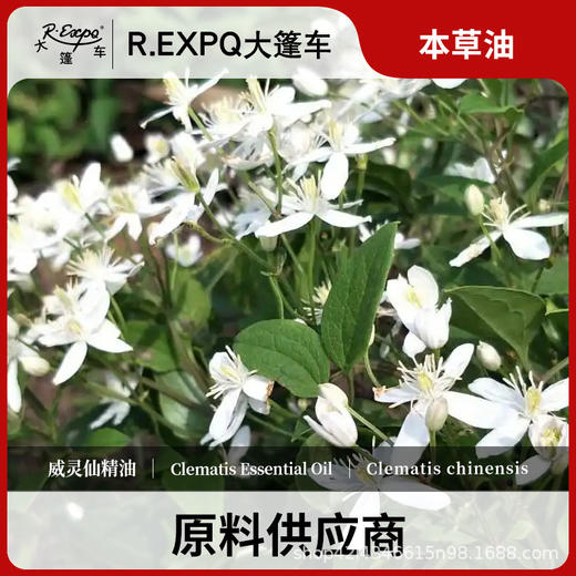 威灵仙精油原料批发芳疗护理调香推拿按摩本草精油Clematis 商品图0