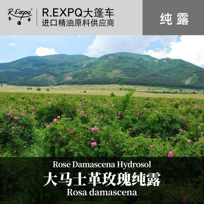 大马士革玫瑰纯露 印度原料批发 面部按摩纯露美容院SPA花水纯露