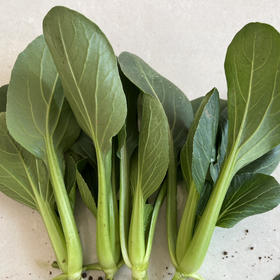 小油菜（基地现摘）