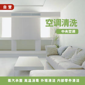 中央空调单次专项清洁