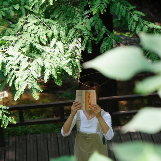 【11岁+】千寻少年•少年日知录（套装共3册）傅国涌给所有中国少年的人文启蒙读本，适合放在每一个中国少年的案头。千寻出品 商品图2