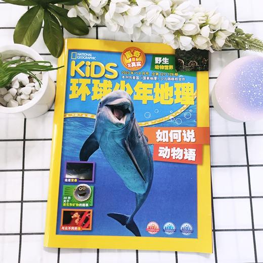 【树妈优选】2025年起订（少儿版） 环球少年地理 期刊杂志 商品图1
