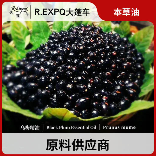 乌梅精油单方精油原料批发芳疗护理调香香薰 大篷车精油 商品图0