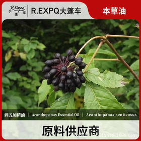 刺五加单方精油原料批发芳疗护理调香精油Acanthopanax