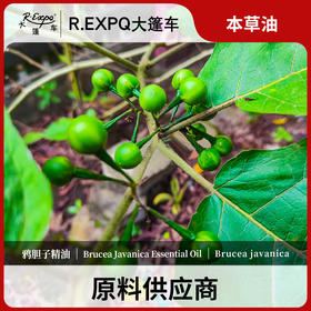 鸦胆子精油单方精油原料批发芳疗护理调香香薰 大篷车精油