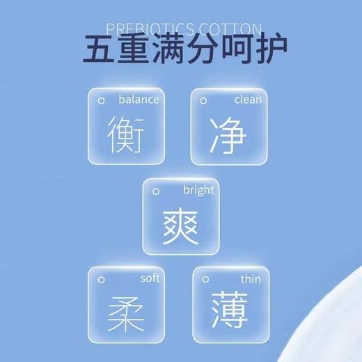 妇炎洁樱桃小丸子系列卫生巾【FY】 商品图3