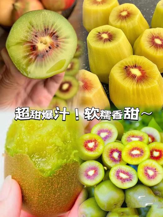 四川绵阳红心奇异果 商品图0
