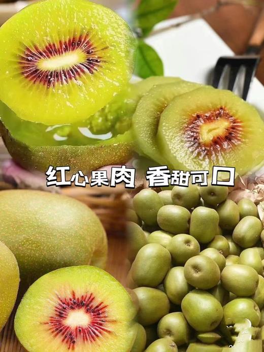 四川绵阳红心奇异果 商品图1