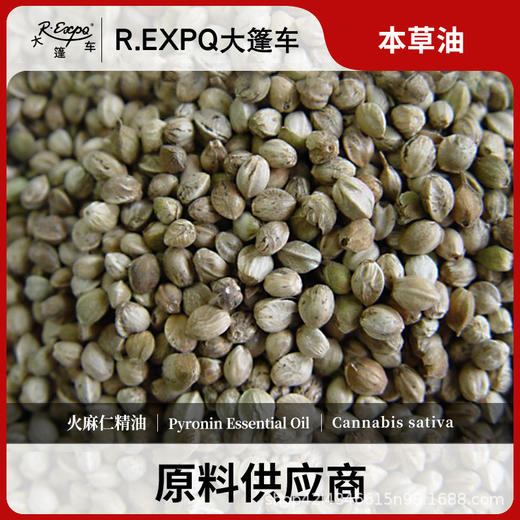 火麻仁精油原料批发芳疗护理调香推拿按摩本草精油Pyronin 商品图0