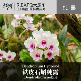 铁皮石斛纯露原料批发 面部按摩花水纯露批发 美容院适用