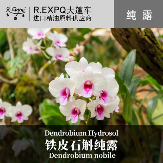 铁皮石斛纯露原料批发 面部按摩花水纯露批发 美容院适用 商品图0