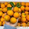 特级蜜蛋金柑（500g） 商品缩略图2