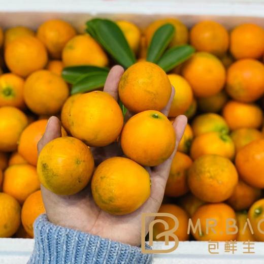 特级蜜蛋金柑（500g） 商品图2