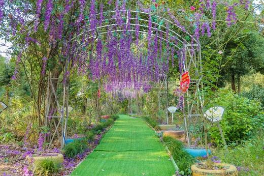 鄂州慢姑娘欣欣向荣别墅轰趴 商品图3