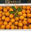 特级蜜蛋金柑（500g） 商品缩略图0