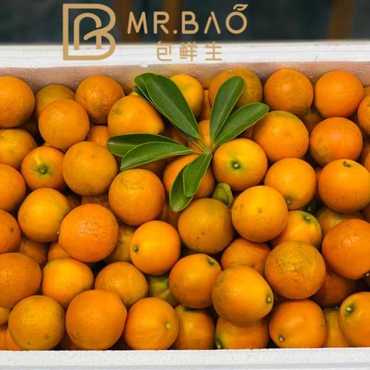 特级蜜蛋金柑（500g） 商品图0