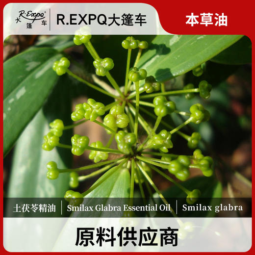 土茯苓精油单方精油原料批发芳疗护理调香香薰 大篷车精油 商品图0