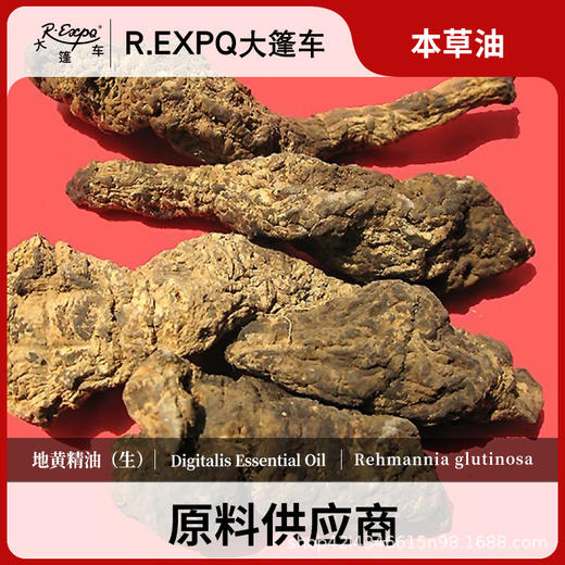 地黄精油（生）原料批发芳疗护理调香精油Digitalis 商品图0