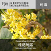 桂花纯露 法国原料批发 面部SPA花水纯露 美容院按摩适用纯露 商品缩略图0