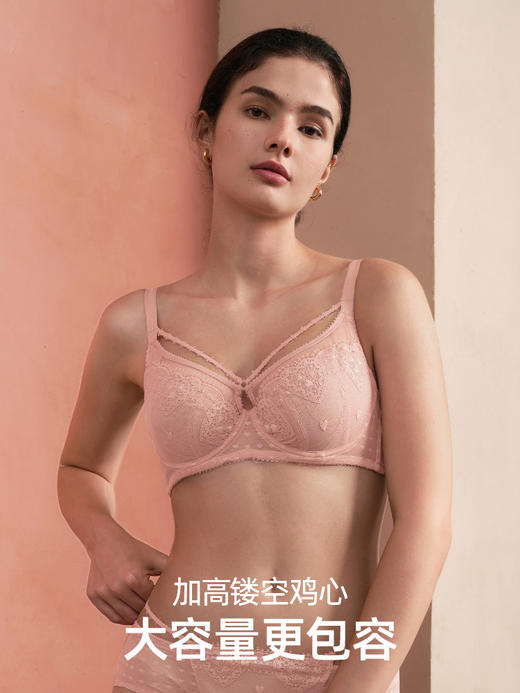 HSIA遐大胸显小文胸大容量【小欢喜】刺绣全罩杯本命年红色内衣女 商品图2