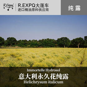 意大利永久花纯露 法国原料批发 美容院线按摩花水纯露 1kg起批