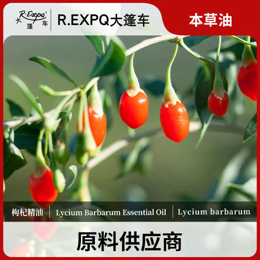 枸杞精油单方精油原料批发芳疗护理调香香薰 大篷车精油 商品图0