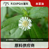 墨旱莲精油原料批发芳疗护理调香推拿按摩本草精油Eclipta 商品缩略图0