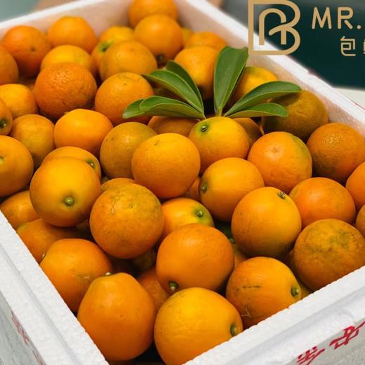 特级蜜蛋金柑（500g） 商品图1