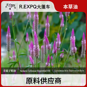 青葙子精油原料批发芳疗护理调香推拿按摩本草精油